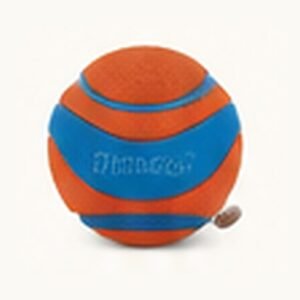 Chuckit! Ultra Ball Dog Toy